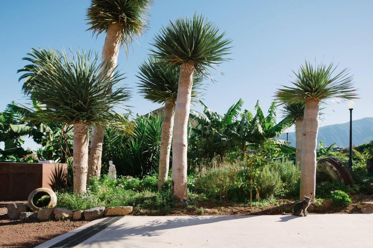 Casa El Patio de Tita 2