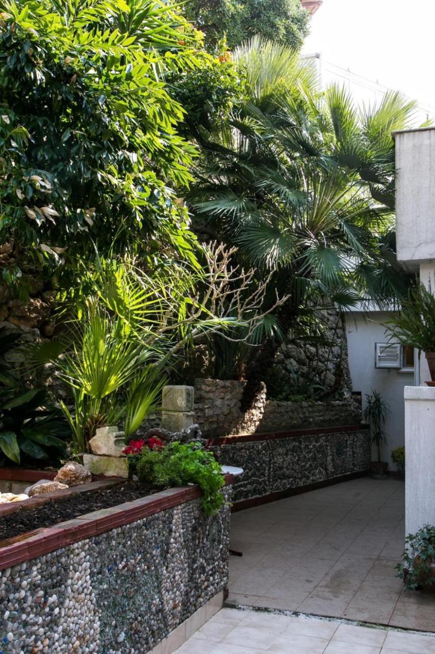 Plavi Zal Apartment 1