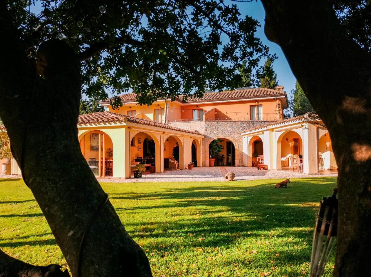 S'arenada Hotel (Adults only)