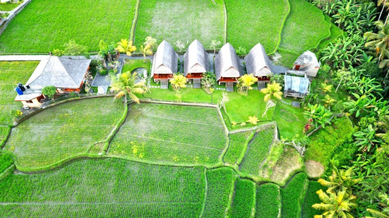 Pondok Gandalangu Ubud-Dikelilingi Hamparan Sawah
