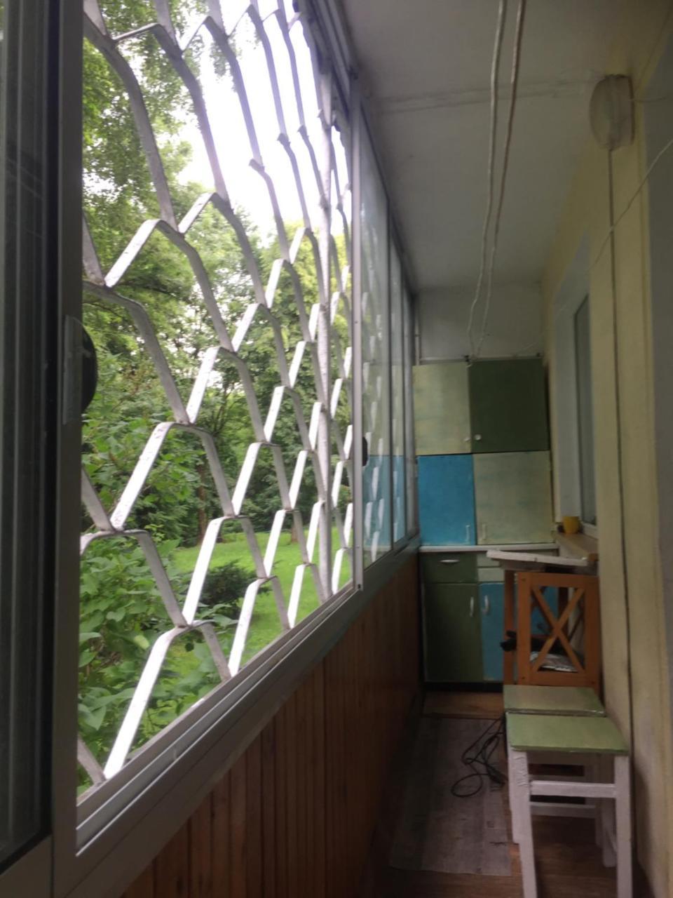 Idomus Bustas Ant Neries Skardzio 2