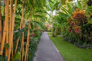 Komaneka at Monkey Forest 2