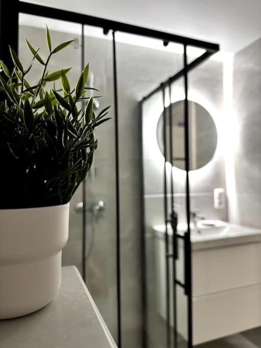 Wolfie Apartment, City Center 2