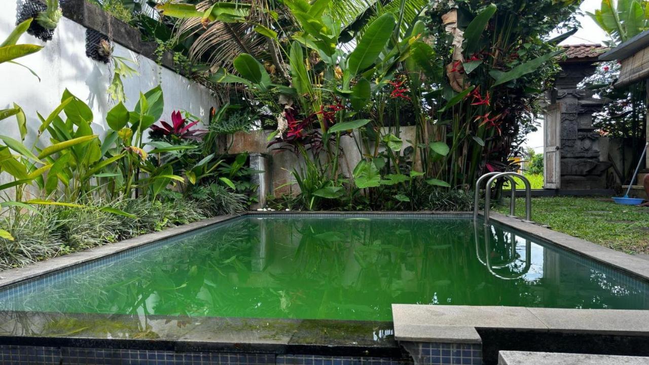 Belvilla Nirvana Near Monkey Forestnearcampuhan Ridge Walk 2