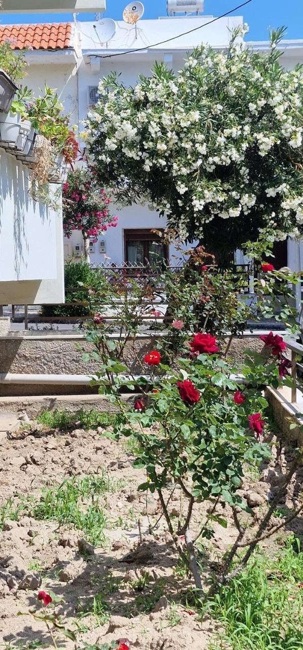 City Center Luxury Spacious Apt A&M 2