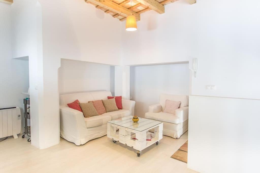 Loft Con Terraza Privada (Adults Only) 2