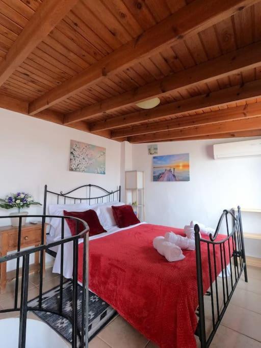 Tiny Clock House (Adults Only) 2