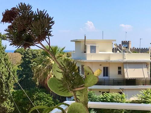 Leo's And Xerxes' Place 2