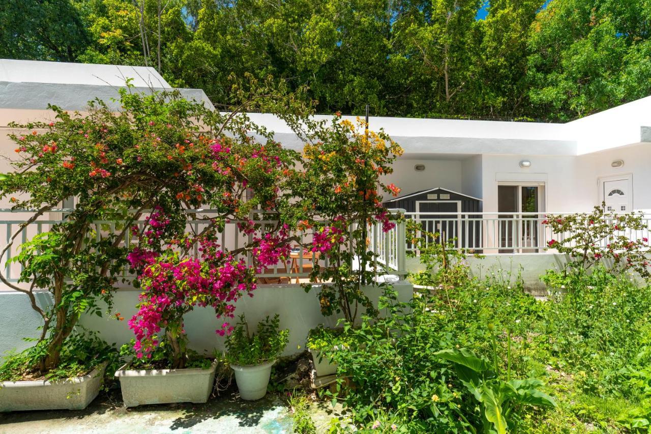 Oasis in the Heart of Rhodes, Next To Old Town, Near Beaches - Haven Home 1