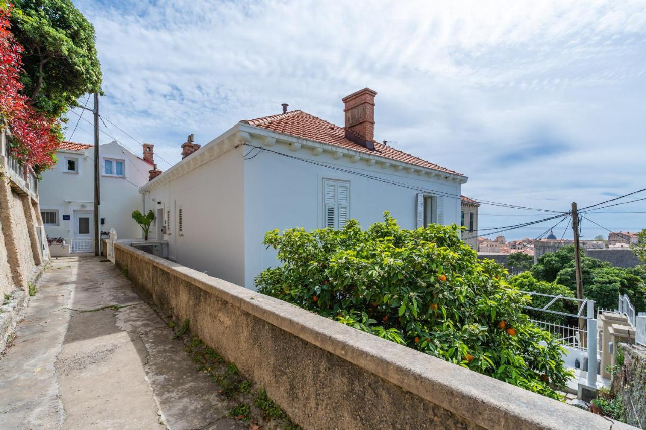 Evita Luxury Apartment 1