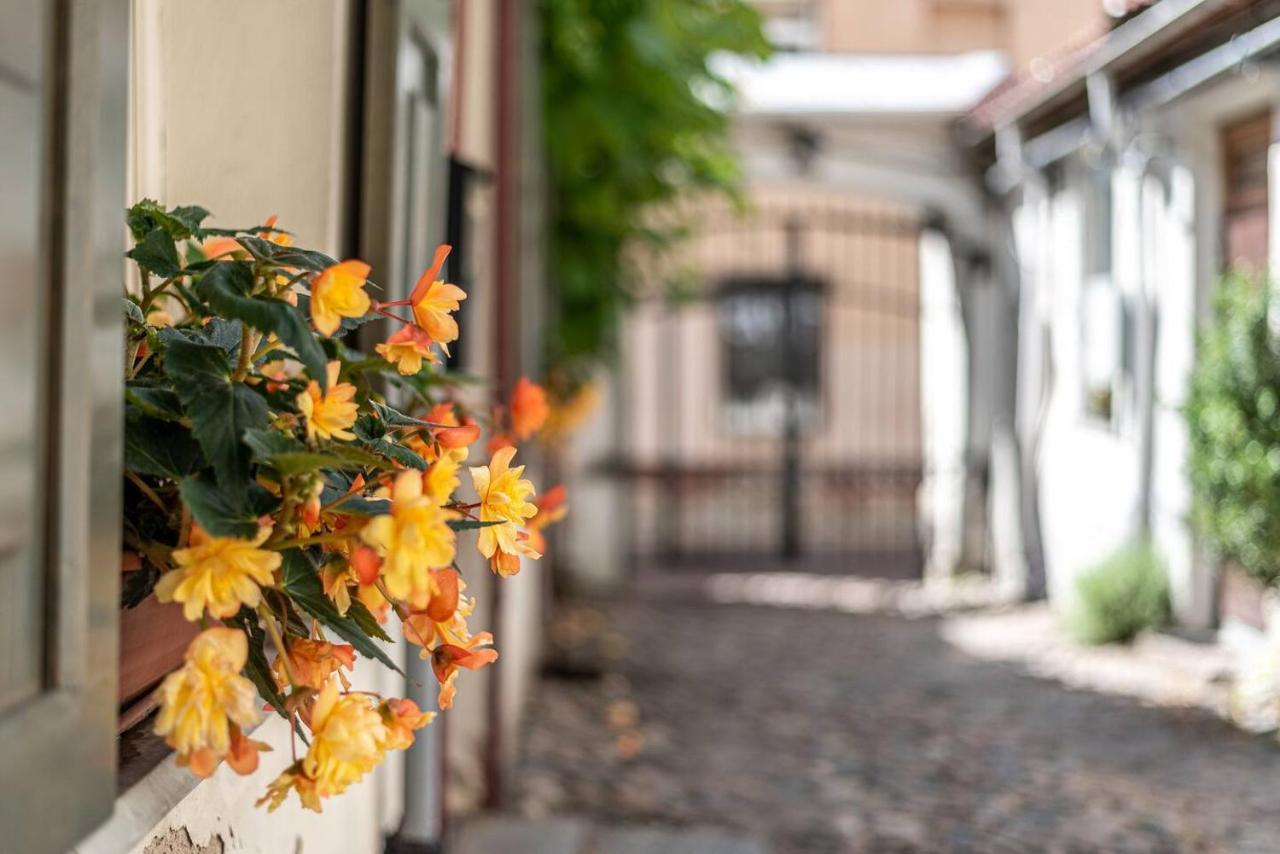 Oldtown Apartment Studio #D 2