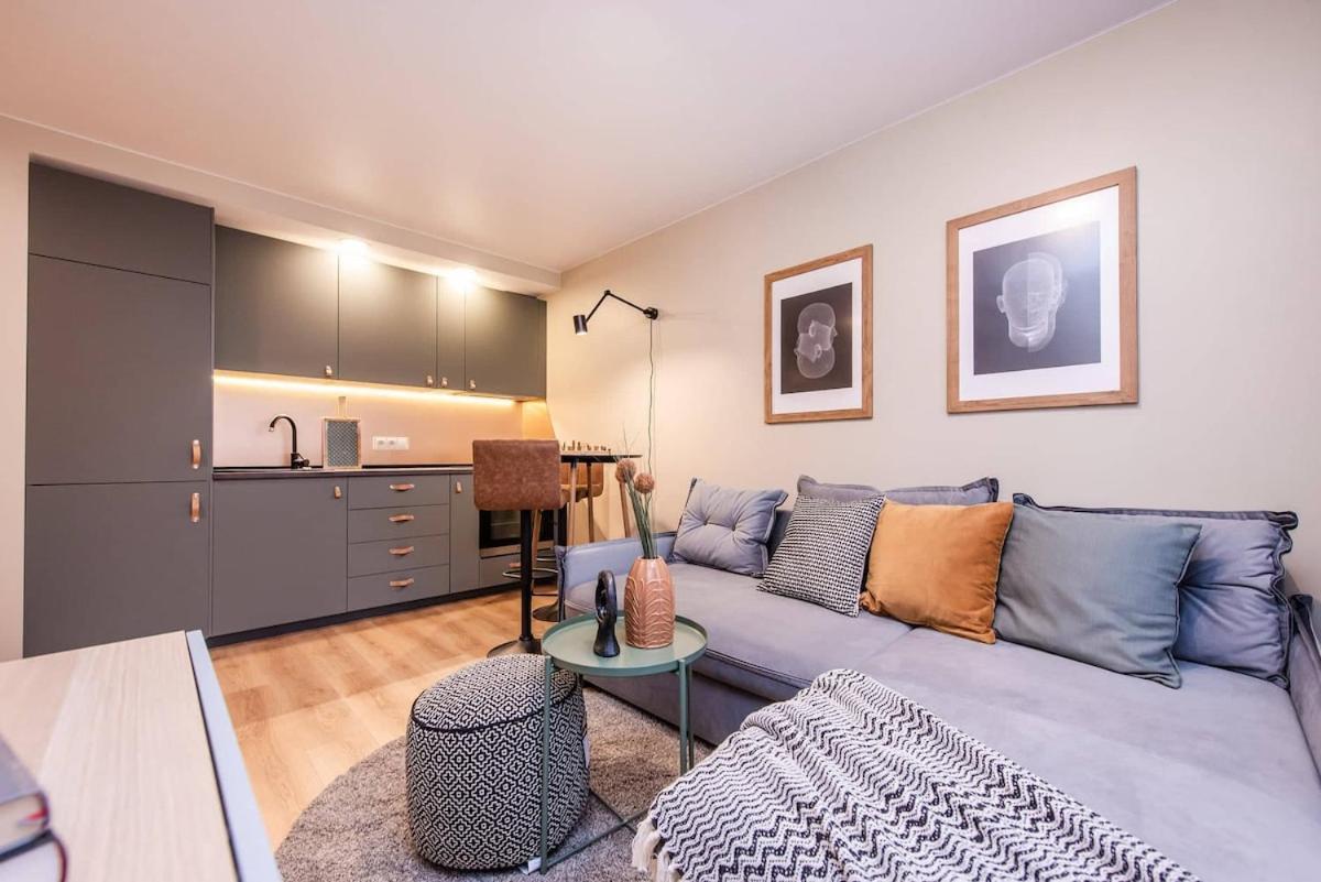 Cozy Flat in Antakalnis 1