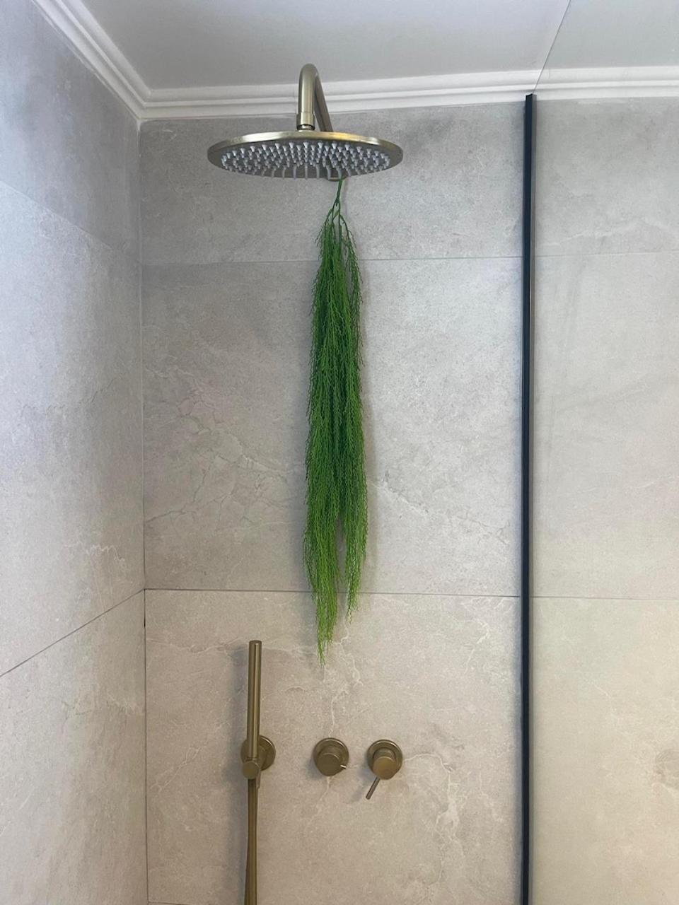 Luminous Home City Rhodes 2