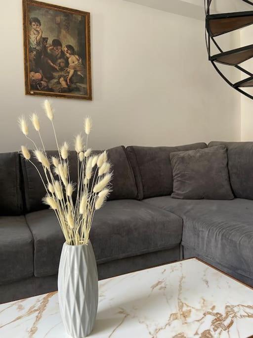 Modern And Classic House Old Down