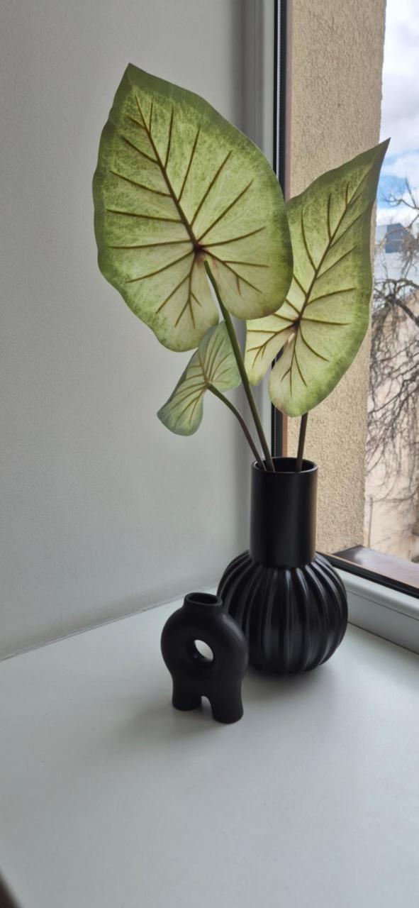 Private Room at 3 Stars Hotel 1