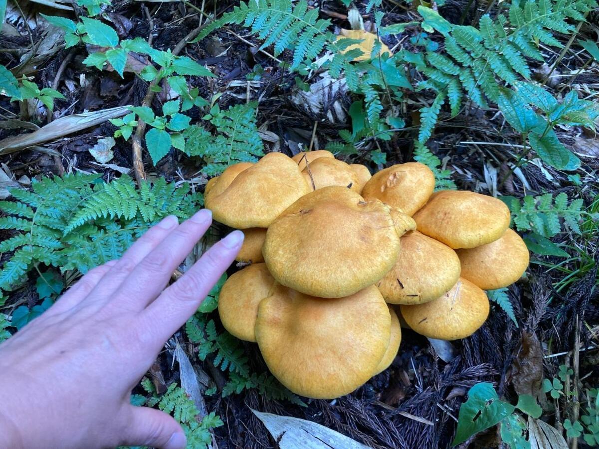 ゲストハウス笑 2