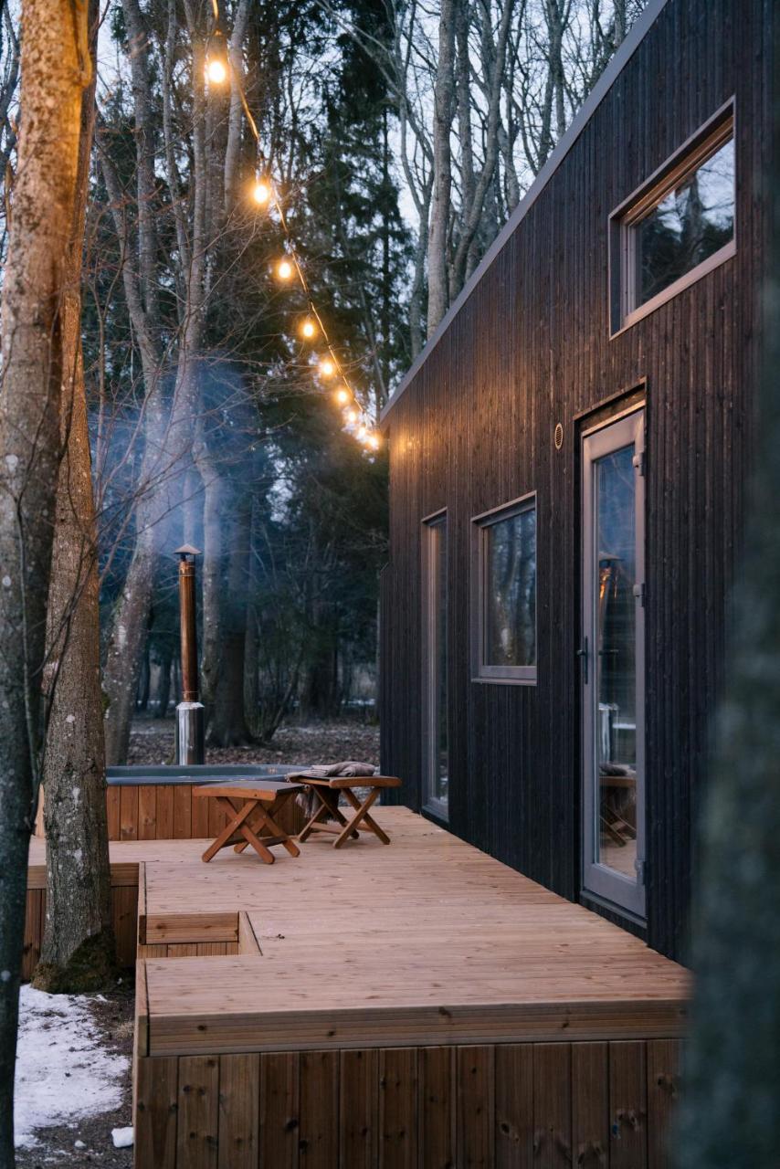 Living Art Piece at the Lake.