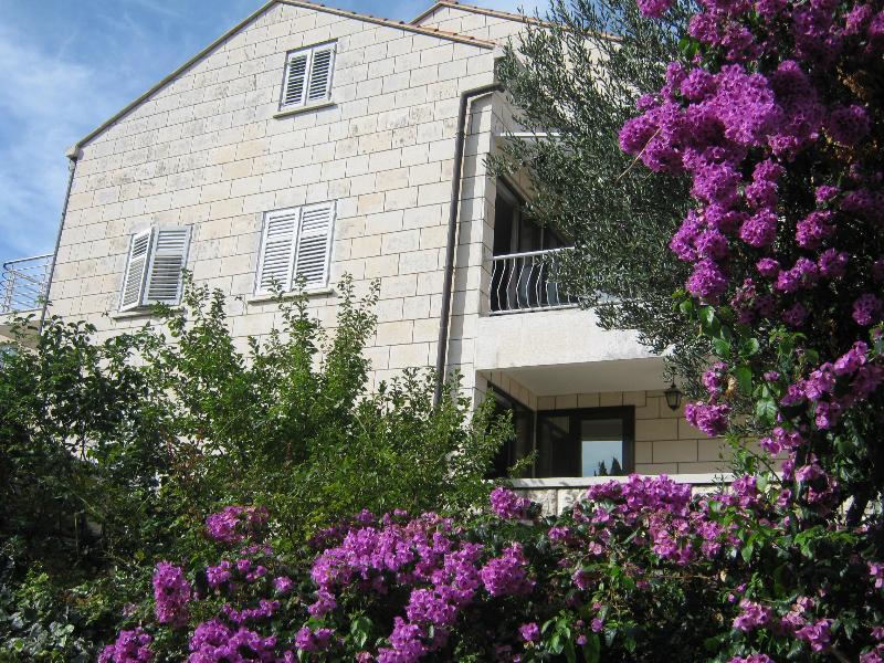 Apartments Afrodita 2