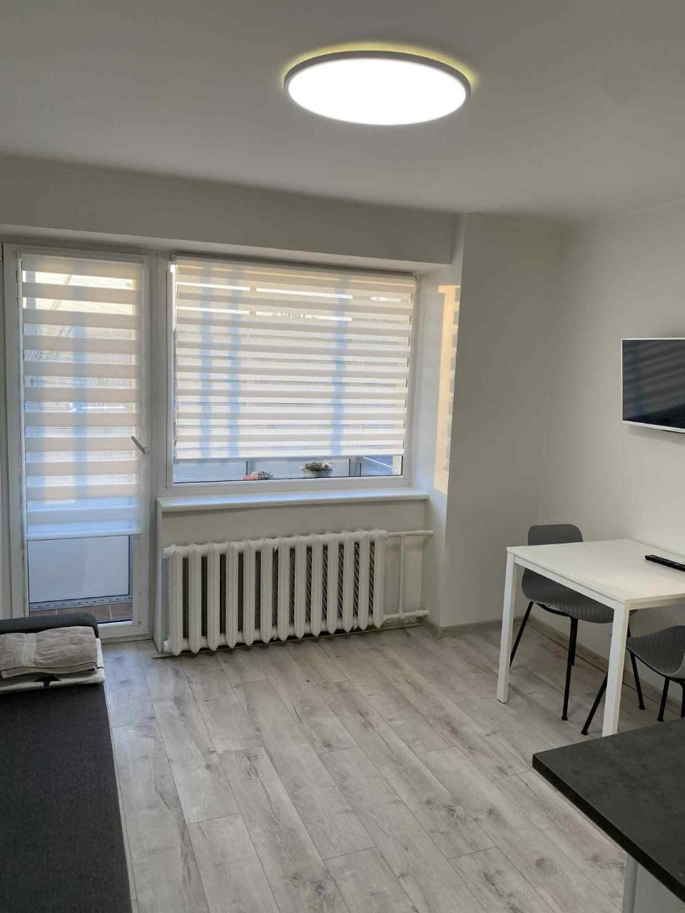 Vilnius Apartment with Balcony 1