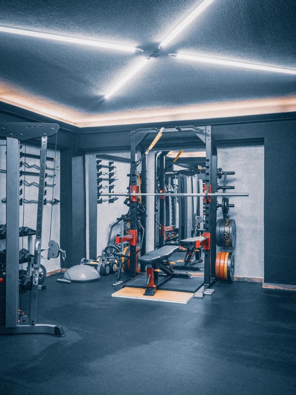 House of Paralympic Athlete Mike Seitis 2