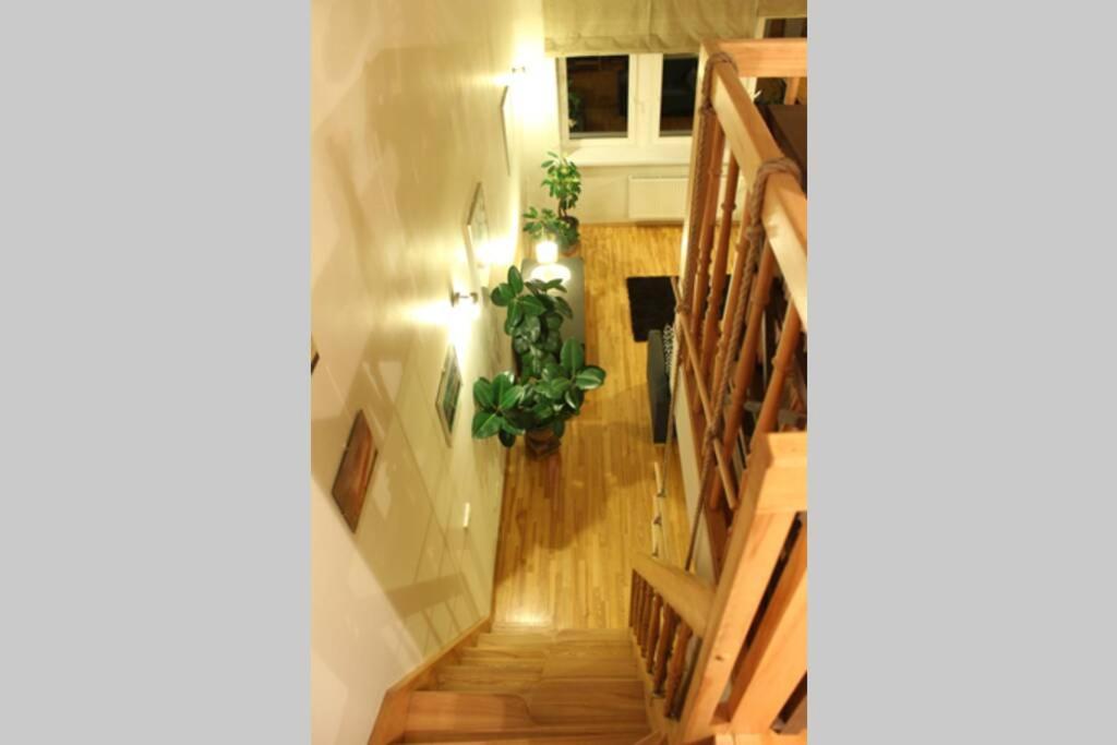 Penthouse Apartment with Great Panoramic City View