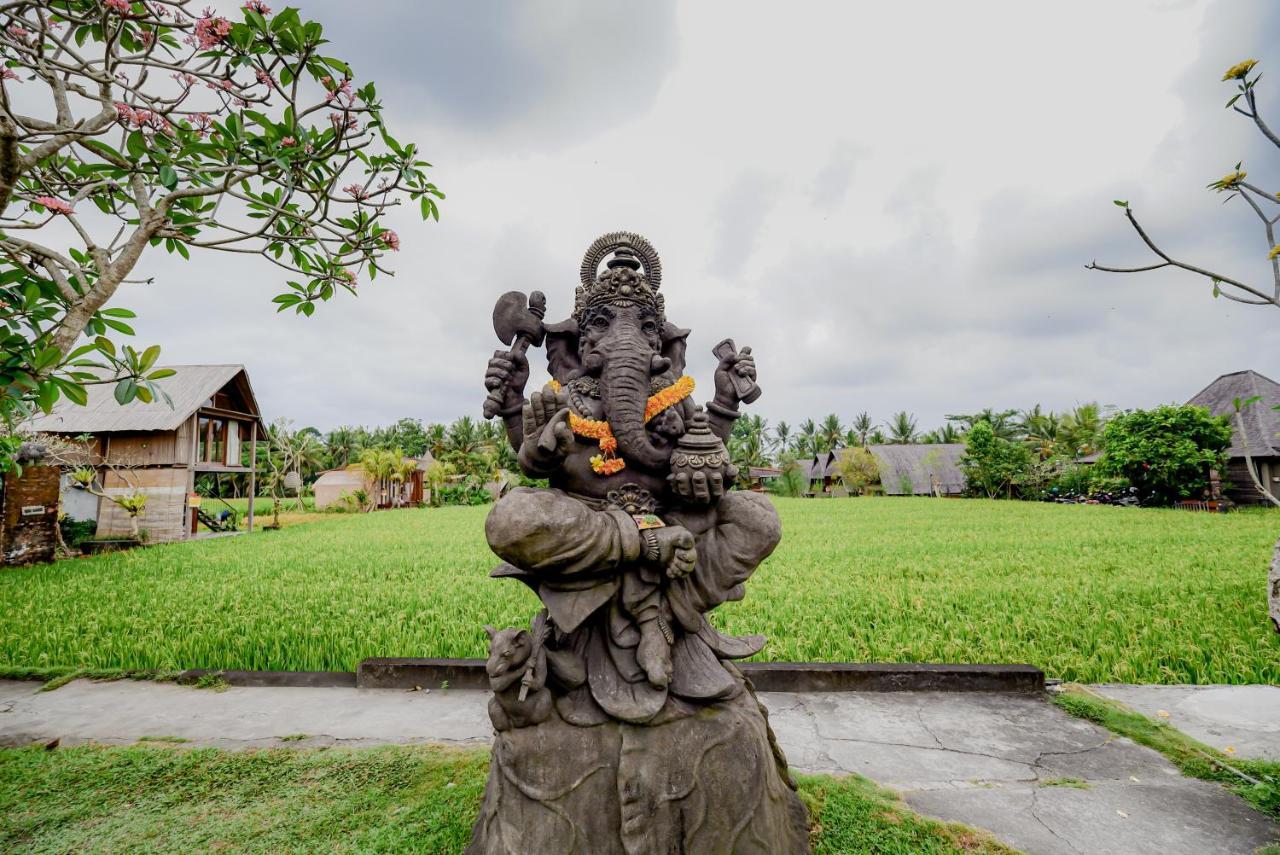 Ubud Rice Field Stay by Wahm Hotel Management