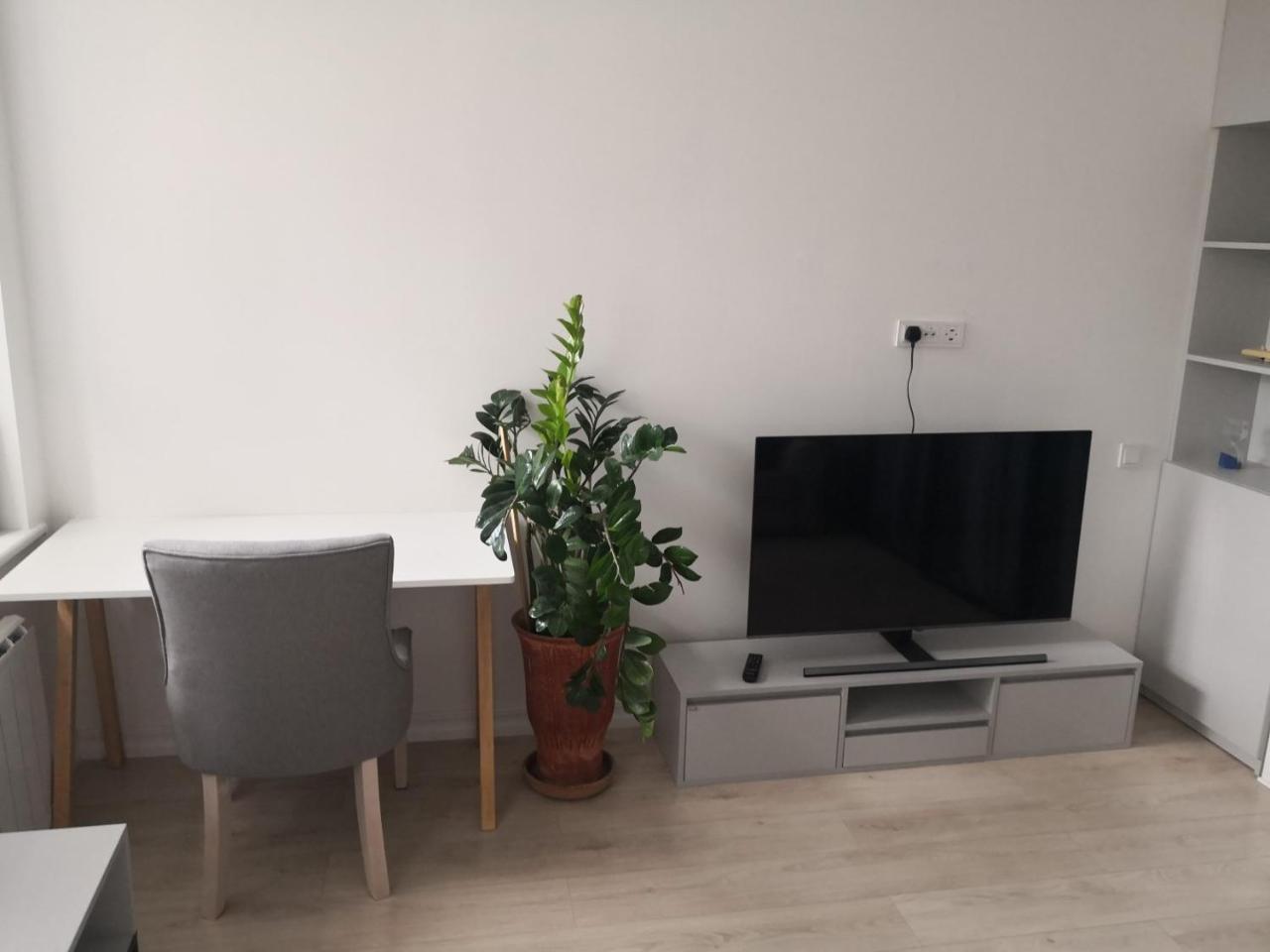 Mario Studio (Adults Only) 2